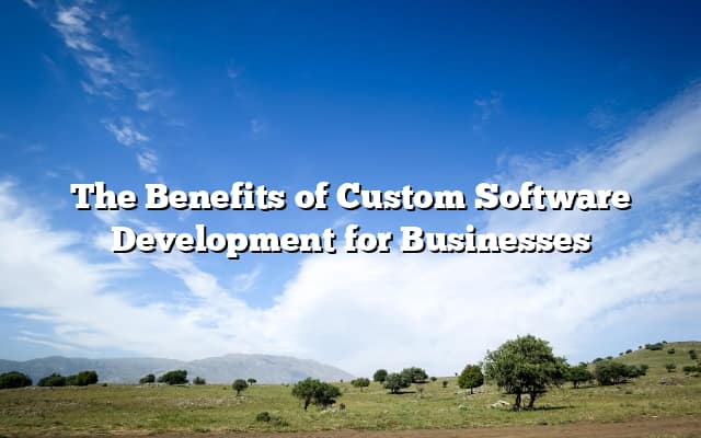 The Benefits of Custom Software Development for Businesses